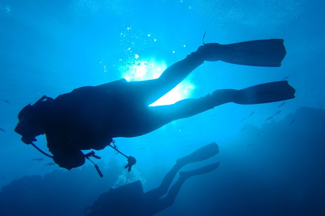 Open Water Diver Course + Underwater Photo Shooting - Good To Know