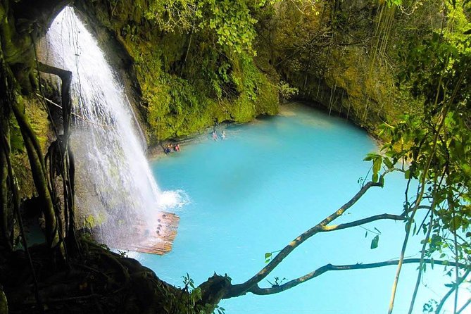 Oslob Whale Shark Watching + Canyoneering Adventure Tour - Overview of the Tour