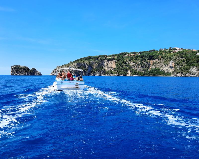 Palinuro: Boat Trip Along the Coast & Blue Grotto Visit - Key Points