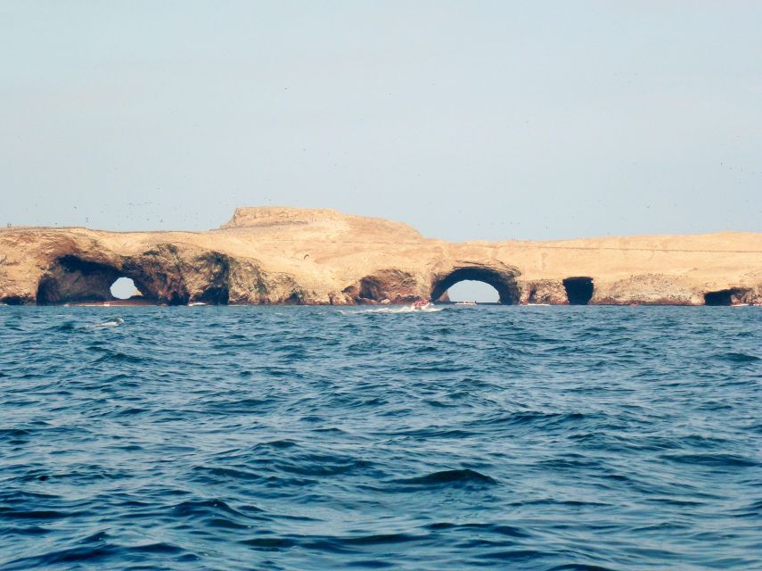 Paracas: Short Excursion to Ballestas Island | Sea Lions | - Key Points