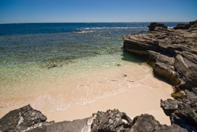 Perth to Rottnest Island Roundtrip Ferry Ticket - Key Points