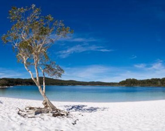 Pippies 3 Day/2 Night Kgari (Fraser Island) Adventure - Key Points