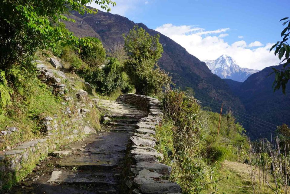 Pokhara: 4 Day Poon Hill Trek - Key Points