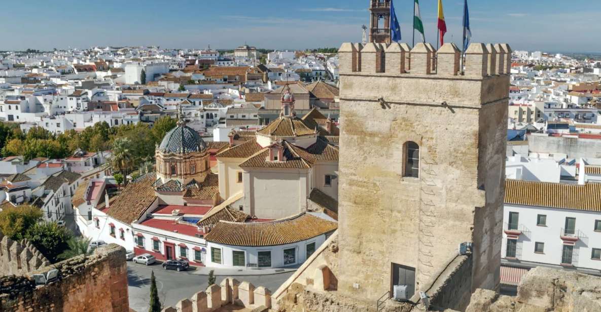 Private 5-Hour Tour of Carmona and Seville From Seville - Key Points