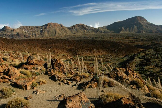 Private Excursion to Teide National Park - Good To Know