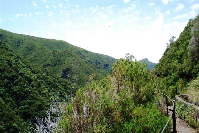 Private Guided Walk Levada 25 Fontes - Overview of Levada 25 Fontes