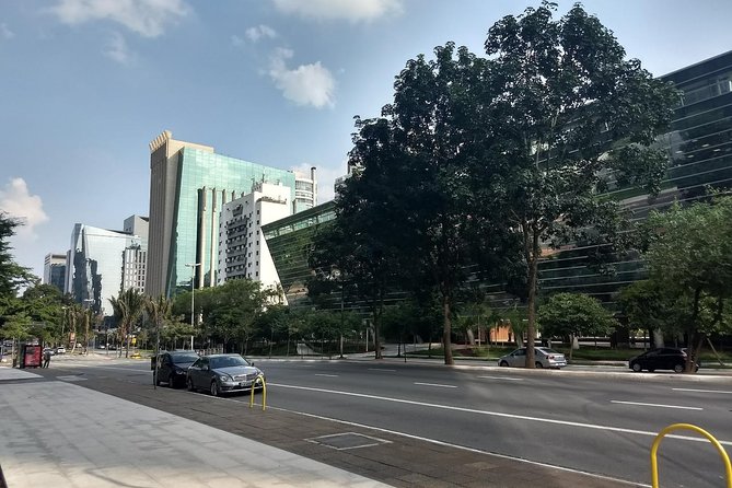 Private Half-Day Guided Tour to São Paulo - Key Points