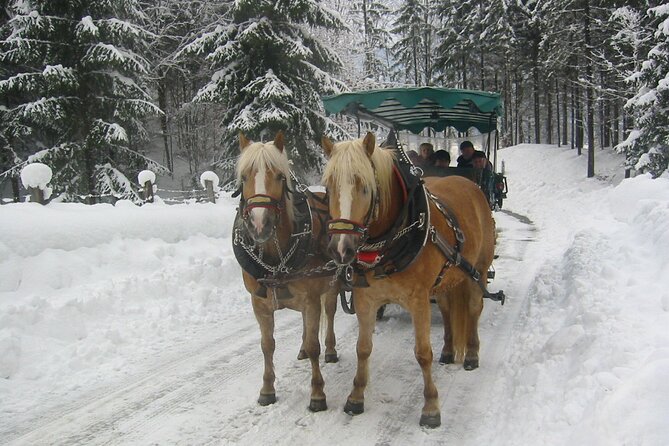 Private Horse-Drawn Sleigh Ride From Salzburg - Good To Know