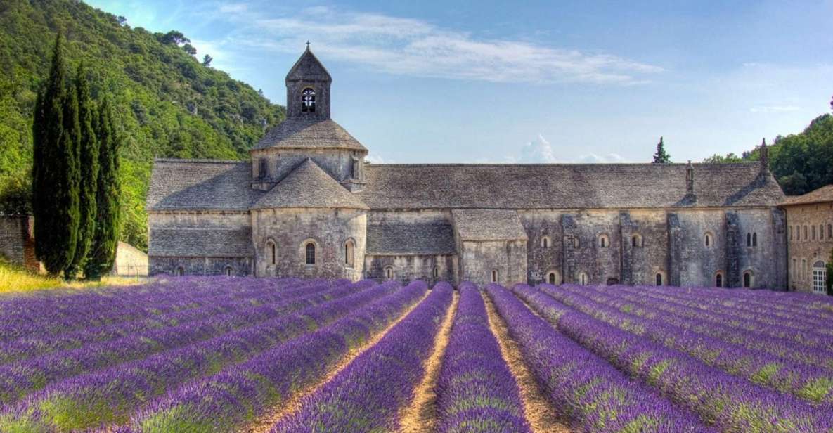 Private Lavender of Provence Tour - Key Points