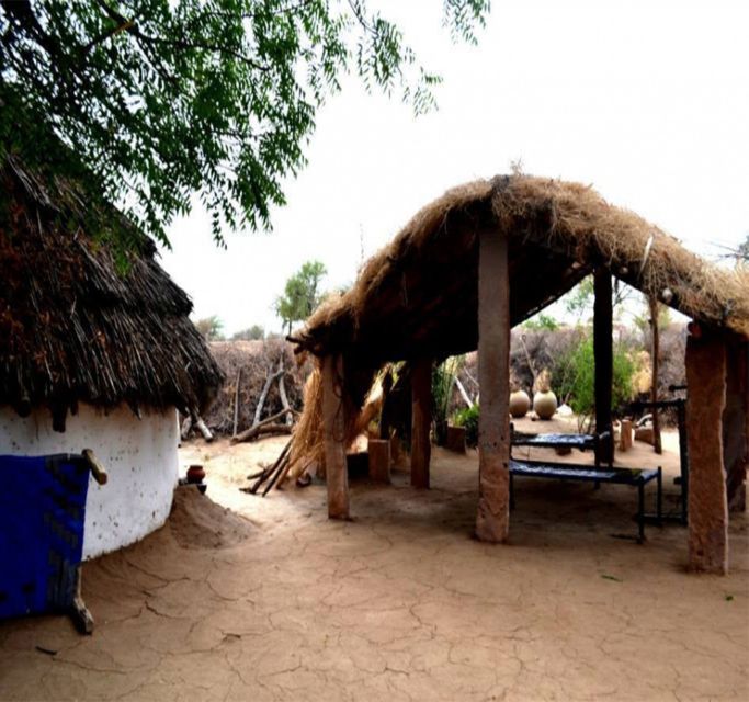 Private Tour: Bishnoi Village & Jodhpur City