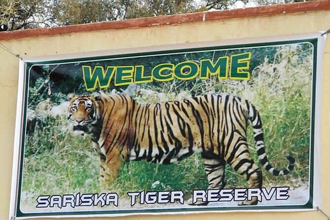 Private Tour From Delhi to Sariska Safari and Jaipur (1n/2d) - Tour Overview