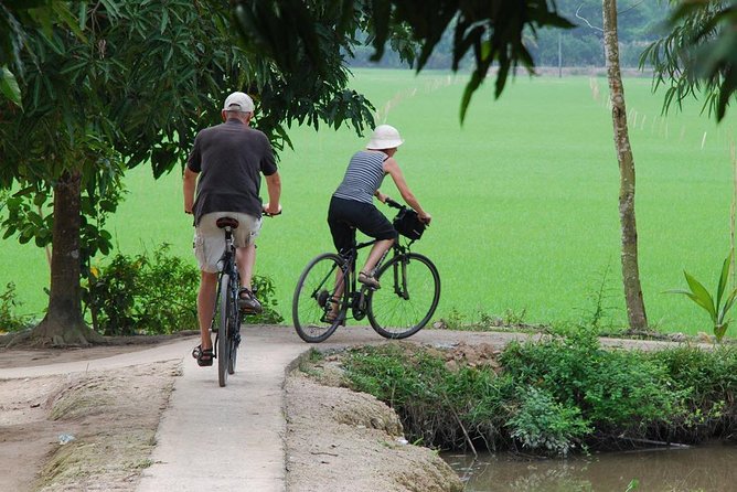 Private Tour: Mekong Delta Day Trip From Ho Chi Minh City - Memorable Activities and Attractions