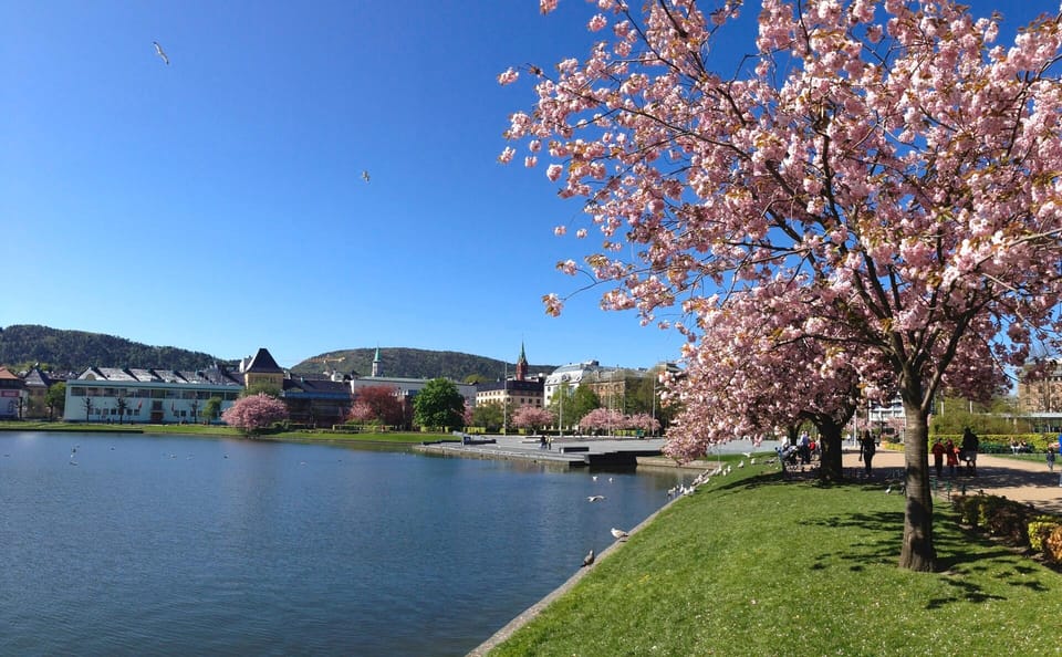 Private Walking Tour- Bergen Classics - Good To Know