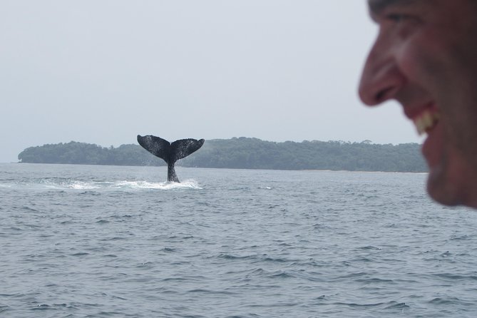 Private Whale Watching Tour at the Pearl Islands Departing From Panama City - Overview of the Tour