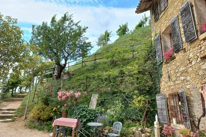 Prosecco Hills Tour With Wine Tasting & Lunch From Venice Treviso - Good To Know