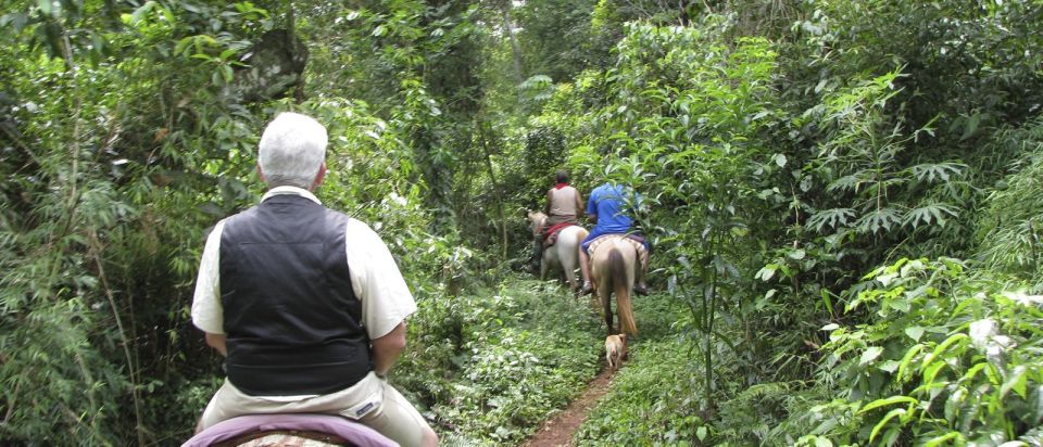 Puerto Iguazu: Jungle Horseback Ride With Guaraní Community - Key Points