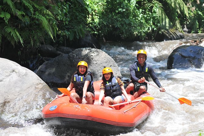 Rafting Private Ayung River With Private Boat in Ubud Bali - Key Points