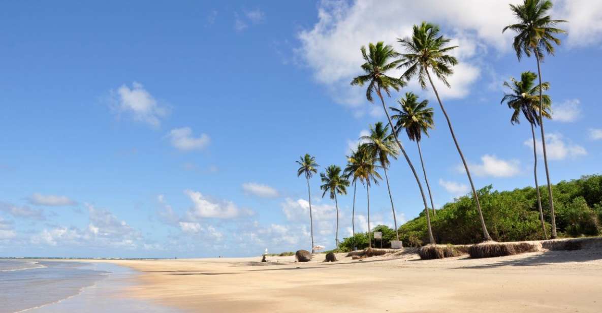 Recife: Tour to Porto De Galinhas - Key Points