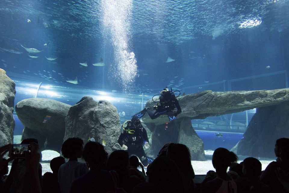 Rio De Janeiro: Marine Aquarium Entry Tickets - Key Points