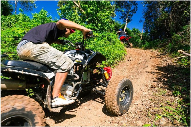 ROATAN Eco-Safari: Dune BUGGY, Wildlife, History, Beach Adventure - Key Points