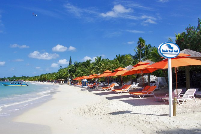 Roatan Excursion: Horseback Ride / Plus Sloth Park and Beach Break - Overview of the Excursion