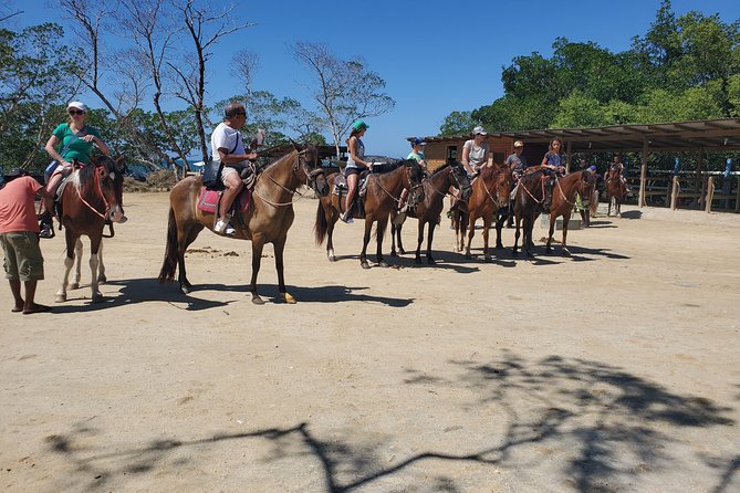Roatan Excursion: Horseback Ride / Sloths Park / Snorkel With Beach Break - Transportation and Pickup