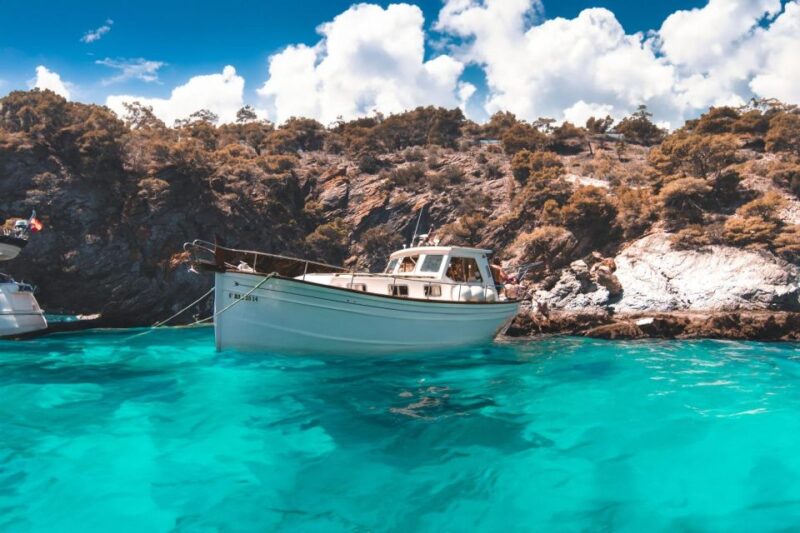Roses: Private Cruise in the Natural Park of Cap De Creus - Key Points