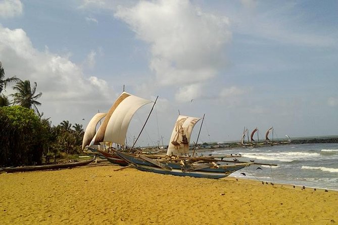 Round Tour of Sri Lanka in a Bus. - Tour Overview