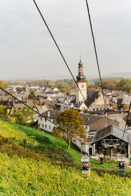 Rüdesheim Am Rhein: Wine Hike and Sights - Key Points