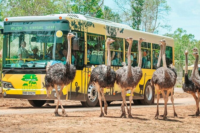 Safari Phu Quoc Ticket With Roundtrip Transfer - Admission Ticket Details