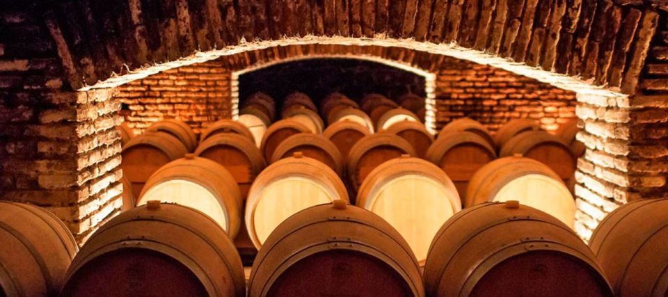 Santiago: Concha Y Toro Winery 4-Hour Tour & Sommelier Class - Overview of the Tour