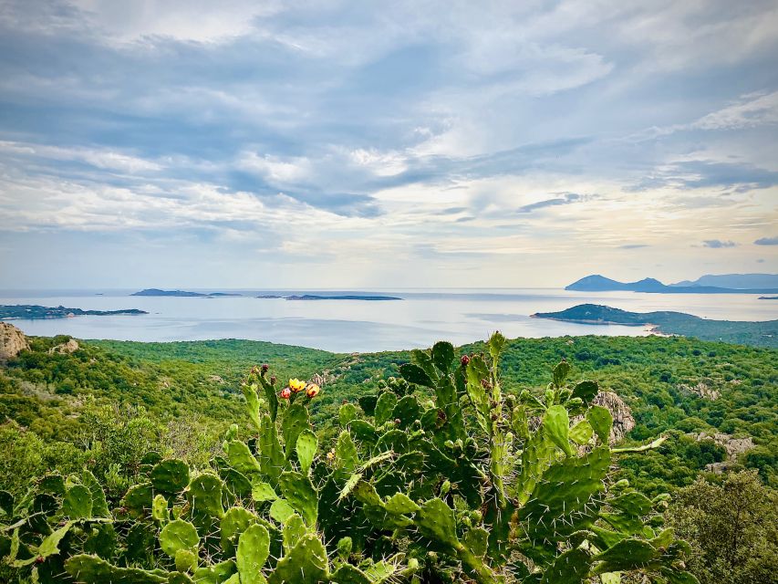 SARDINIA : Tour of the Costa Smeralda With Stops - Key Points