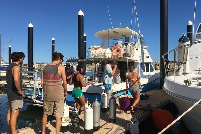 Scuba Dive Ningaloo Reef - Key Points