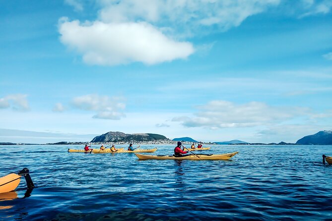 Sea Kayaking In Ålesund - Good To Know