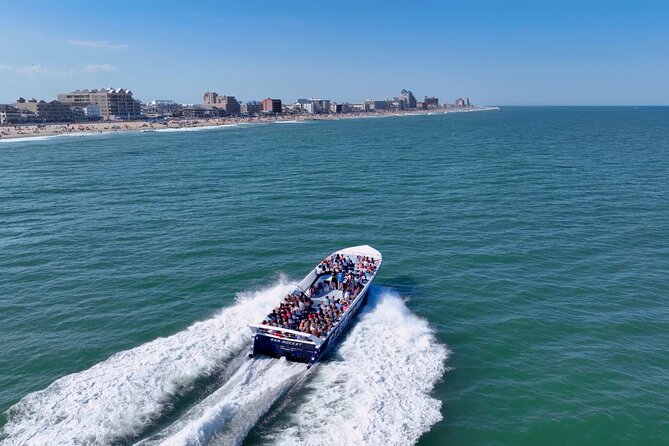 Sea Rocket Speed Boat & Dolphin Cruise in Ocean City, MD