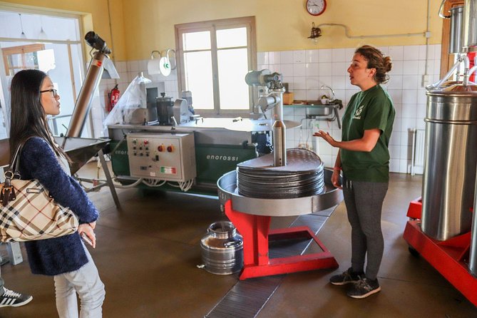 Semi Private Wine, Olive Oil, and Terroir Tour of Heraklion Area With Tastings - Good To Know