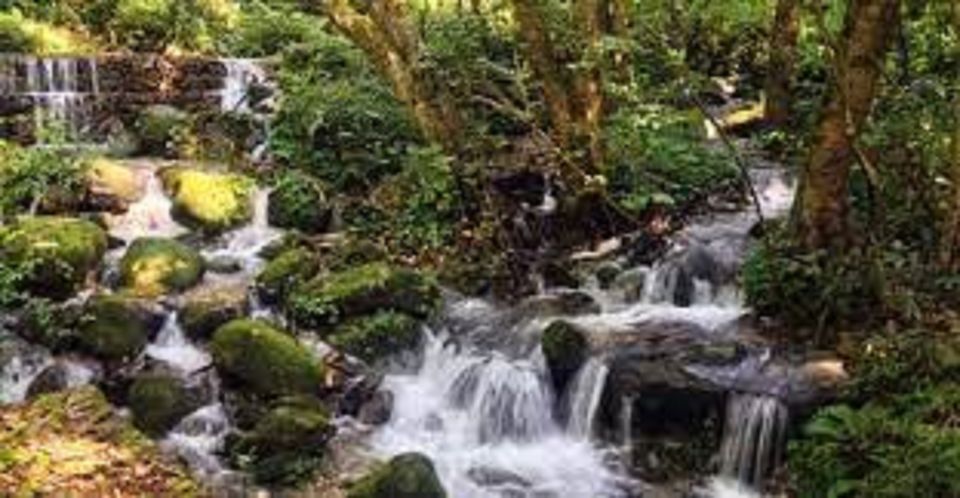 Shivapuri National Park Day Hiking From Kathmandu - Key Points