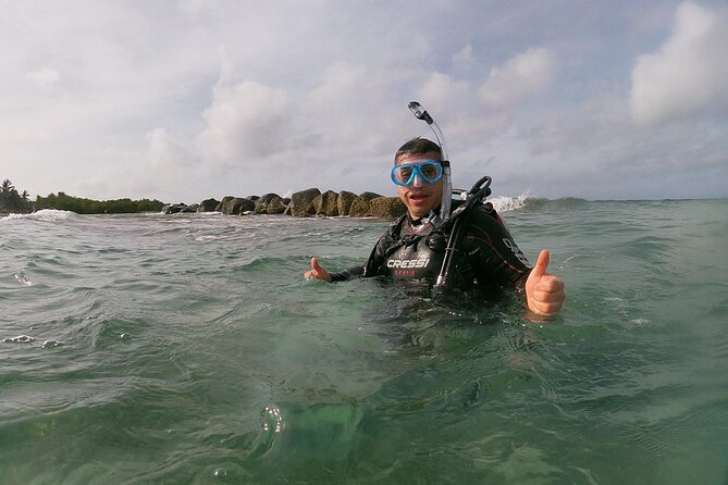 Shore Dive Aruba for Certified Divers - Overview of Shore Diving