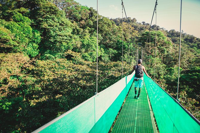 Sky Walk From Monteverde - Key Points