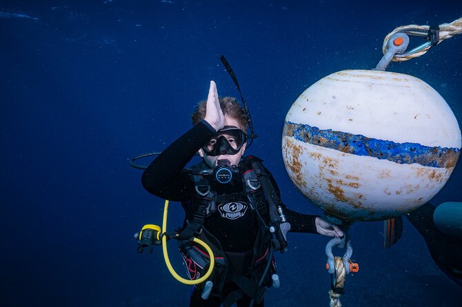 Small Group Shark and Turtle Dive for Certified Divers (Shore) - Key Points