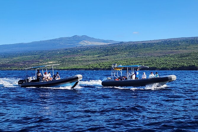 Snorkel Tour to Captain Cook Monument Kailua-Kona, Big Island - Tour Highlights