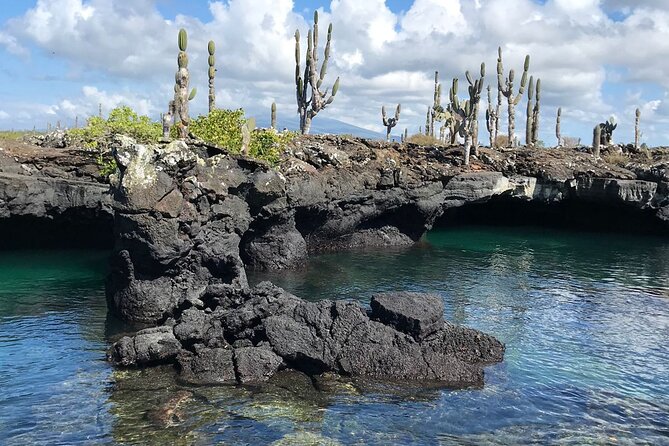 Snorkeling in Cabo Rosa Tunnels Isabela Island - Key Points