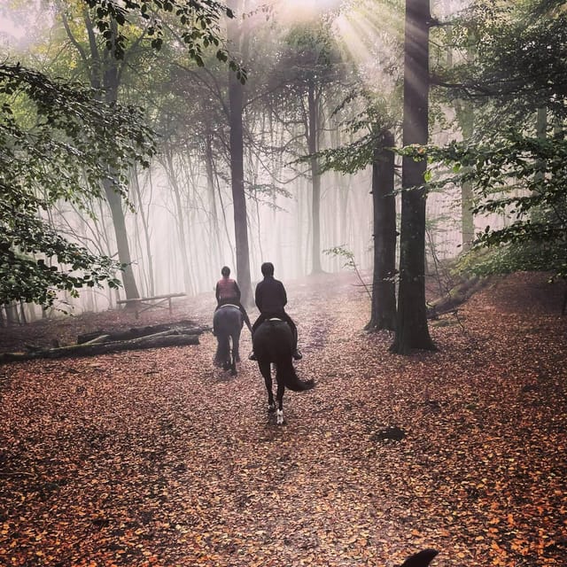 Söderåsen National Park: 2.5h Horseback Ride - Key Points