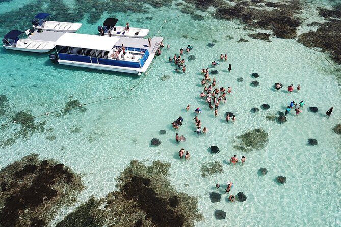 Stingray City Experience Antigua - ROUND TRIP INCLUDED - Key Points