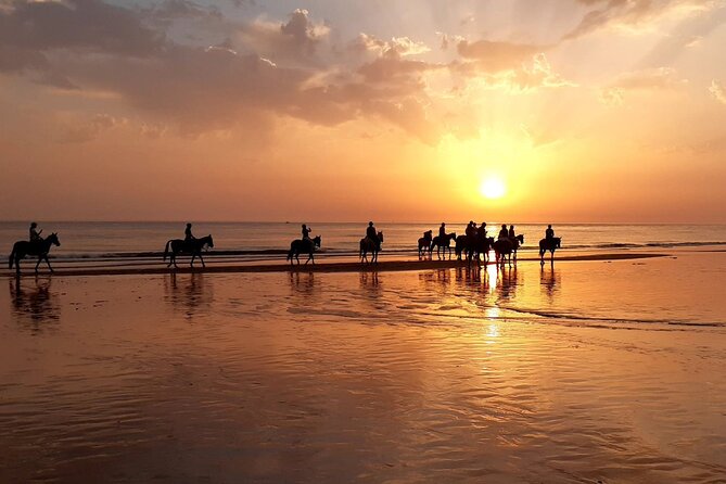 Stunning Sundown Beach Ride ... on Horseback! - Good To Know