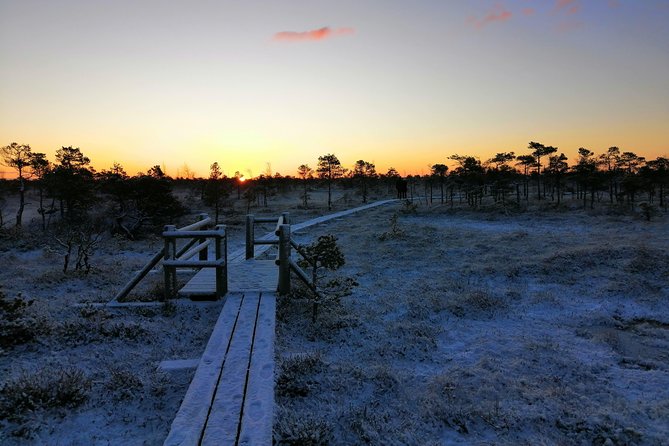 Sunrise at Kemeri National Park + Jurmala - Key Points