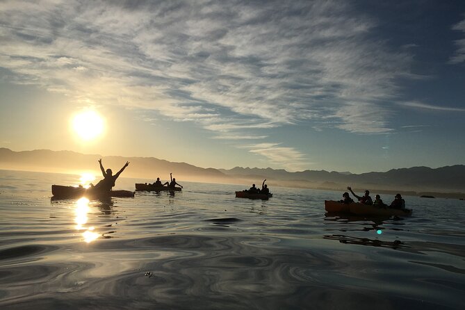 Sunset Kayak Tour in Kaikoura - Key Points