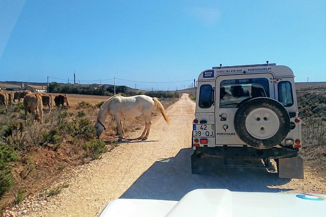 Super Day- Jeep Tour + Arade River Cruise - Good To Know