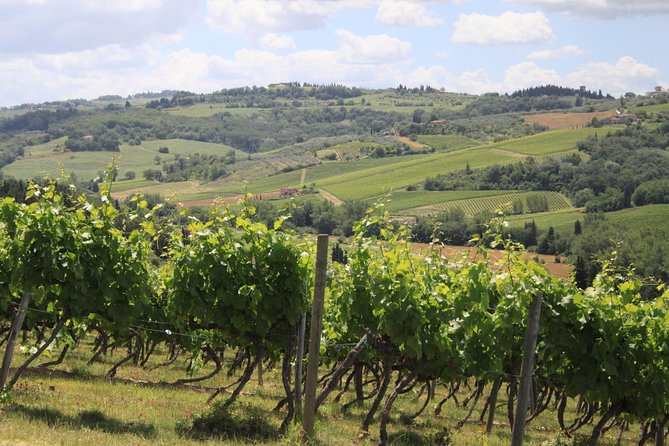 Supertuscan Wine Tour - Masterclass by a Wine Expert - Good To Know