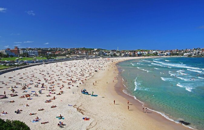 Surfing Lessons on Sydneys Bondi Beach - Key Points